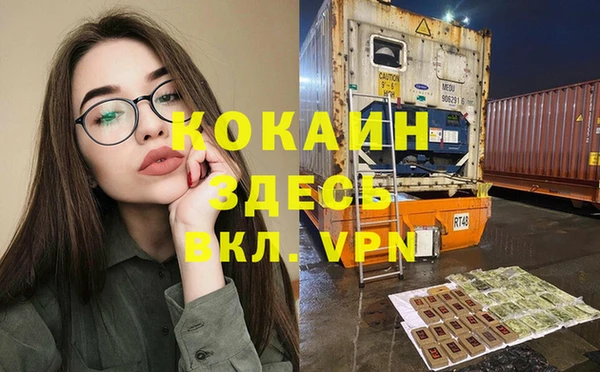 спиды Богородицк
