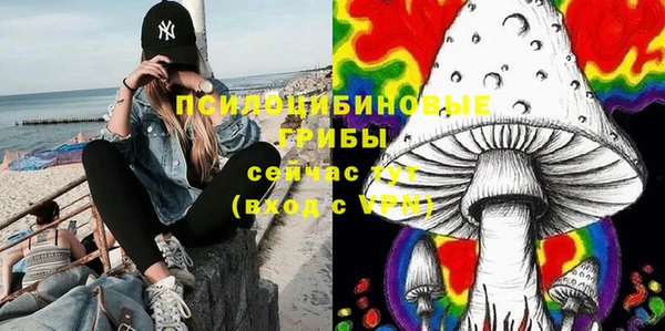 молекула духа Богородск