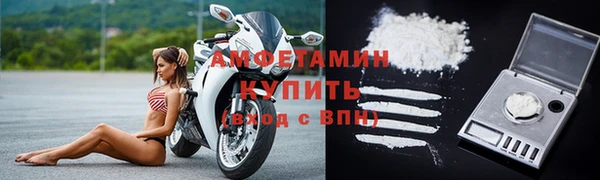 спиды Богородицк
