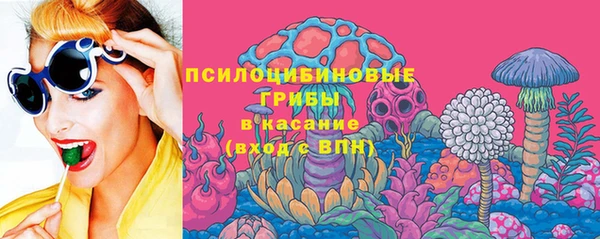 молекула духа Богородск