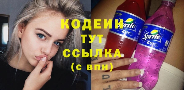 спиды Богородицк