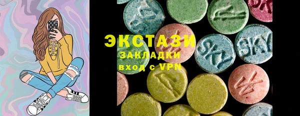 спиды Богородицк