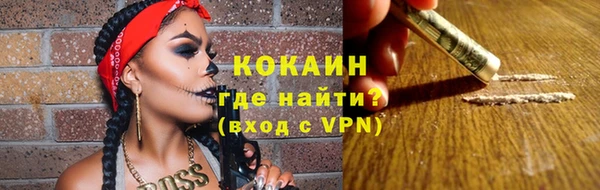 спиды Богородицк