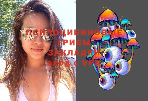 молекула духа Богородск