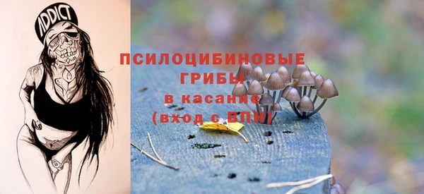 бошки Сосновка